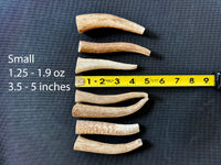 Elk Antler Chew - 1 Piece - Select a Size