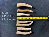 Elk Antler Chew - 1 Piece - Select a Size