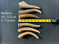 Elk Antler Chew - 1 Piece - Select a Size