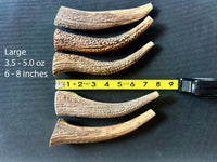Elk Antler Chew - 1 Piece - Select a Size