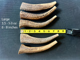 Elk Antler Chew - 1 Piece - Select a Size