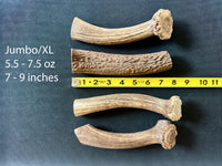 Elk Antler Chew - 1 Piece - Select a Size