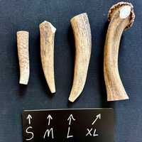 Elk Antler Chew - 1 Piece - Select a Size