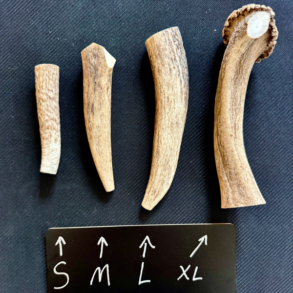 Elk Antler Chew - 1 Piece - Select a Size